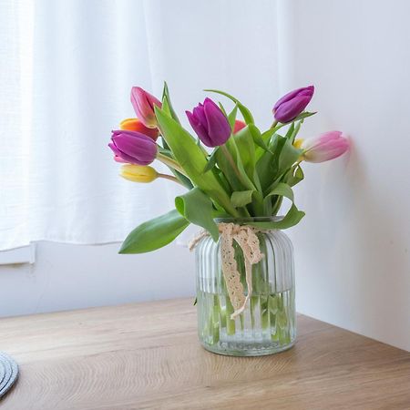 Thomas Residence Beograd Ngoại thất bức ảnh