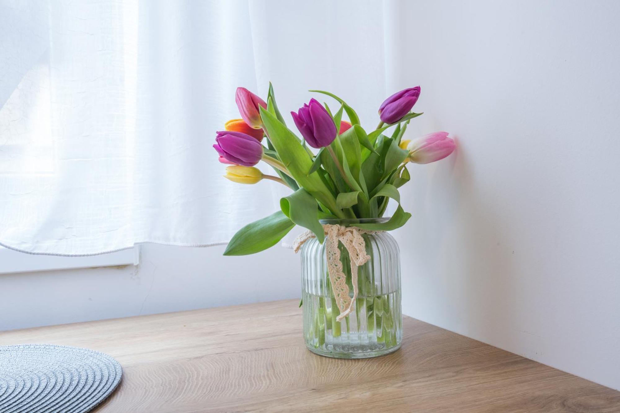 Thomas Residence Beograd Ngoại thất bức ảnh